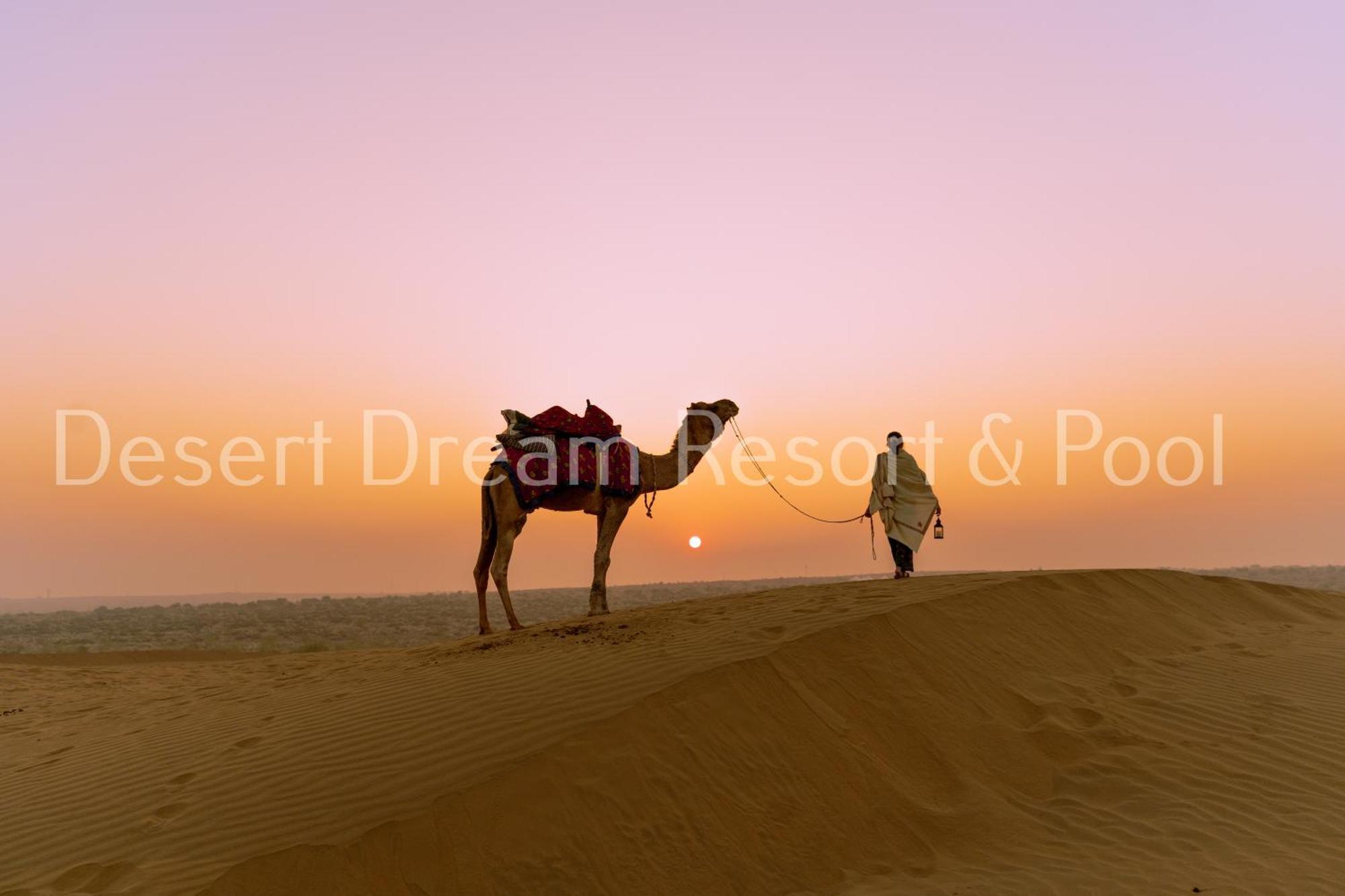 Desert Dream Royal Camp & Pool Jaisalmer Dış mekan fotoğraf